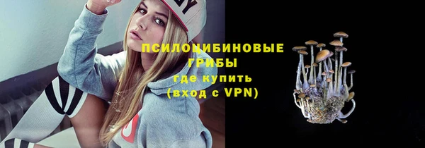 стафф Алексеевка