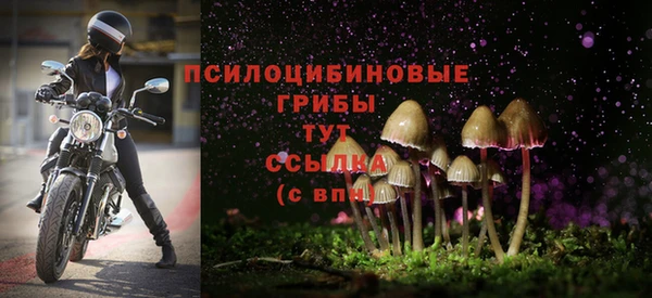стафф Алексеевка