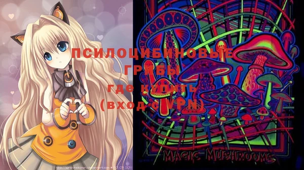 стафф Алексеевка
