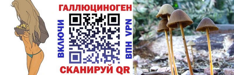 Псилоцибиновые грибы MAGIC MUSHROOMS  Покачи 
